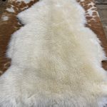 The Australian Sheepskin is soft, luxurious, and unique, with beautiful fur on the hide, available in several colors ranging from earthy to bright tones.