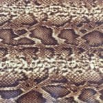 piton Piton Embossed Cow Leather 3 oz | 20-23 Sq. Ft.