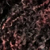 WINE with BURGUNDY