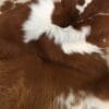 Long Hair Cavallino Calfskin Brown with Off White