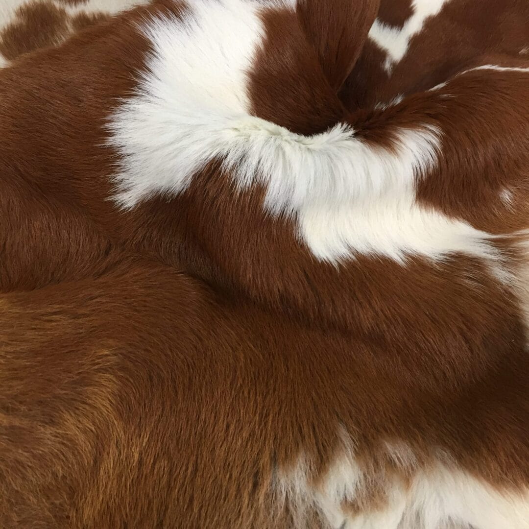 Long Hair Cavallino Calfskin Brown with Off White