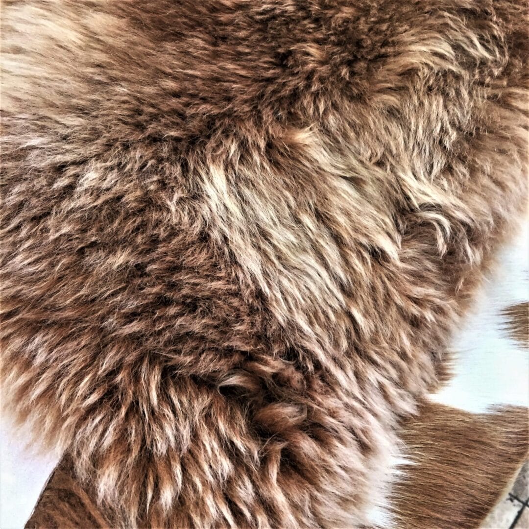 Australian-Sheepskin-JIN612-Brown-Brisa-avetcoinc-1 Australian Sheepskin Rug