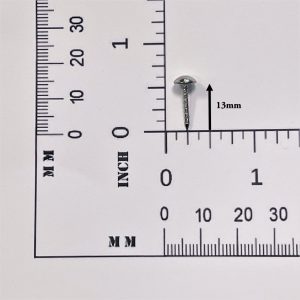 Decorative Ringed Shank Steel Nails avetcoinc@ (5) Decorative Threaded Shank Steel Nails 1000 PCs