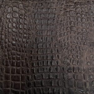 Avetco- Oltu Cow Leather Embossed-French Roast Oltu Crocodile Embossed 3oz Cow Leather – Neutral Tones | 22-24 SF.