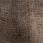 Avetco- Oltu Cow Leather Embossed khaki Taupe Oltu Crocodile Embossed Cow Leather – Neutral Tones- Rough Cut by 2 SF.