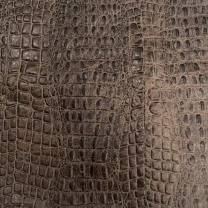 Avetco- Oltu Cow Leather Embossed khaki Taupe Oltu Crocodile Embossed 3oz Cow Leather – Neutral Tones | 22-24 SF.