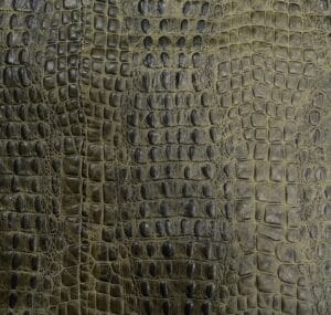 Avetco- Oltu Cow Leather Embossed Army Green Oltu Crocodile Embossed 3oz Cow Leather – Neutral Tones | 22-24 SF.