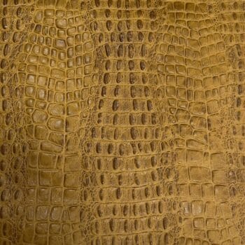 Oltu crocodile embossed cow leather hide in yellow tone. Avetco