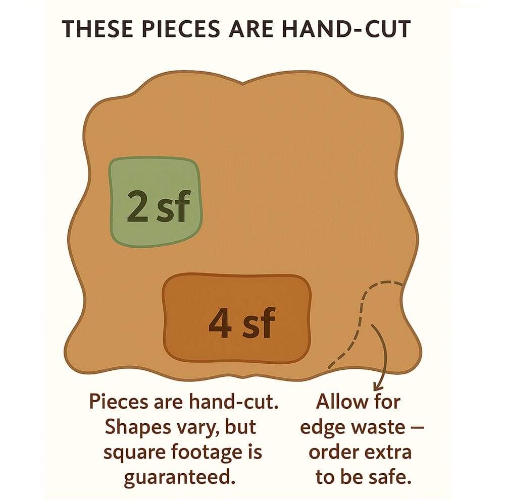 Outline- double butt Side Hide -Avetco Double butt side cowhide outline showing rough cut areas – Avetco