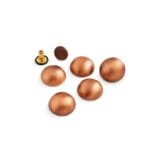 BR588DOME 15-175 AC 0.69″ | 17.5mm BR588, Brushed Dome Rivets- 50pk