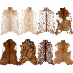 light tone goat hair on Row of cowhide skins in brown and white tones laid flat on a white background.